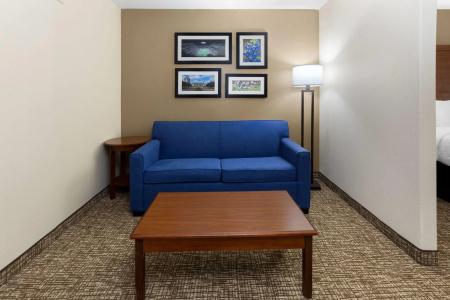 Wingate by Wyndham College Station South - 32