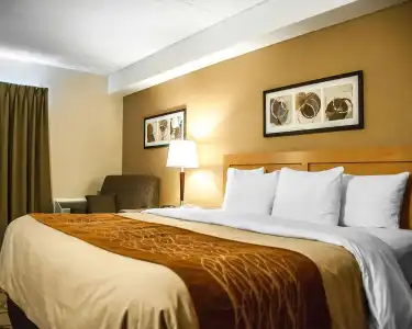 Comfort Inn Laval - 4