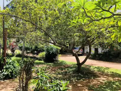 Lagoon Paradise - 17