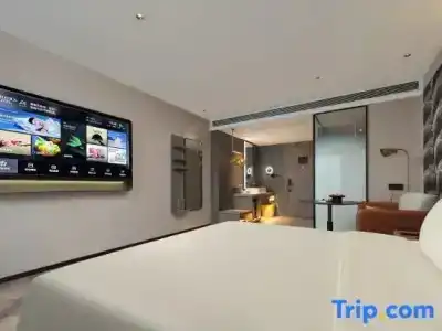 SHOWSE Wellness - 12