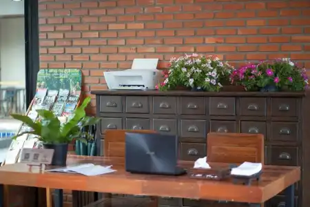 Celosia Chiang mai - 19