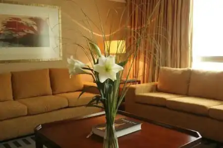 Regal Pacific Buenos Aires - 35