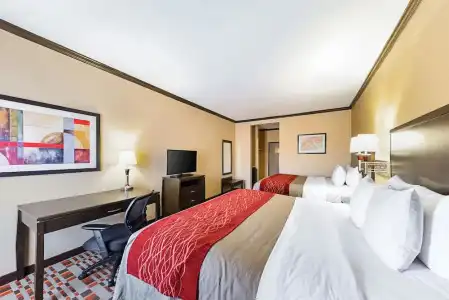 Quality Inn & Suites Lubbock South - 33