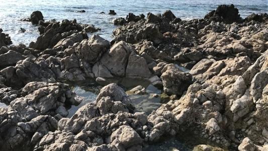 Sea Breeze - 17