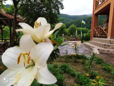 Bilovoddya - 4