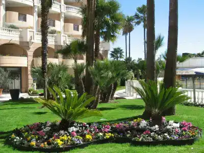 Résidence la Palme d'Azur Cannes Verrerie - 14
