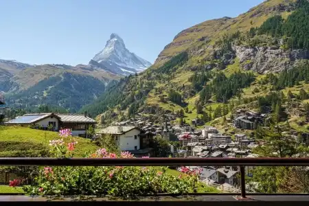 Alpenroyal - 138