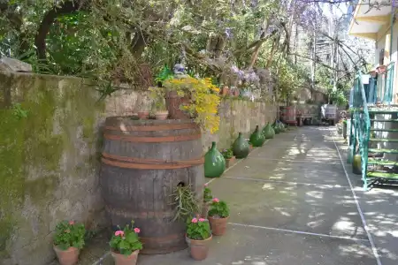 Sorrento Experience - 23