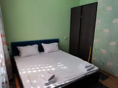 Green House - 137