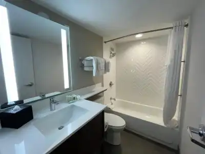 Holiday Inn & Suites Chicago - Downtown by IHG - 59