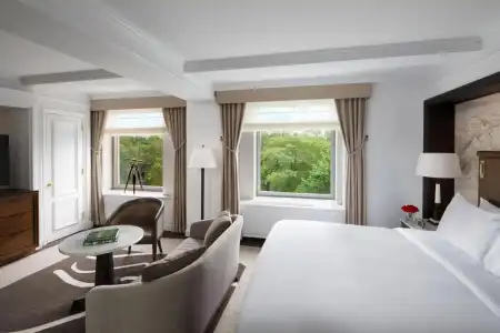 The Ritz-Carlton New York, Central Park - 38