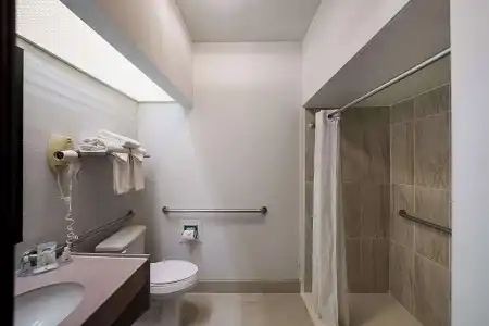 Quality Inn & Suites Irving DFW Airport South - 56