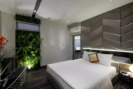 Bonita Signature - 3
