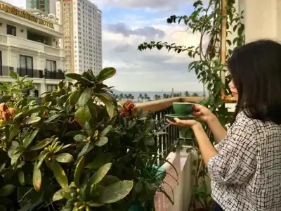 Eco Green Boutique - 45