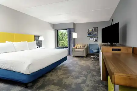 Hampton Inn Amelia Island at Fernandina Beach - 48