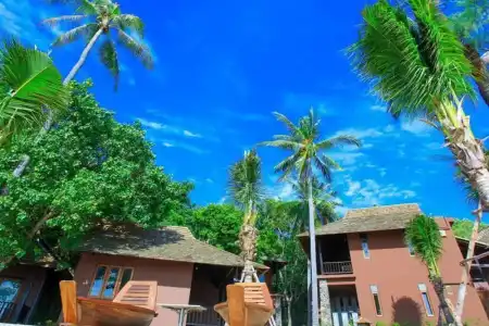 Koh Tao Beach Club - 151
