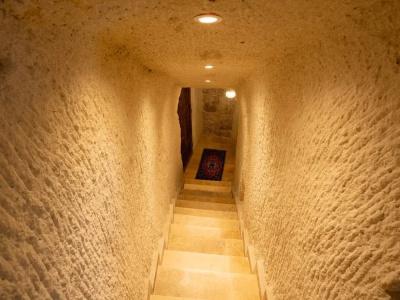 Tulip Cave Suites - 145