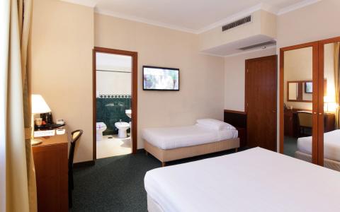 Garner Rome Aurelia by IHG - 7
