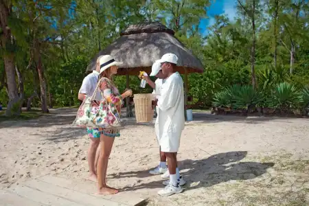 Tropical Attitude - Adults only - 15