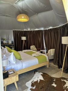 EcoHouse Glamping by ART - 62