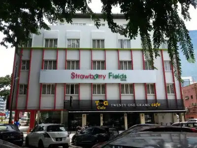 Strawberry Fields - 0