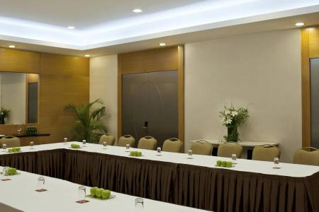 Sheraton Ankara & Convention Center - 19