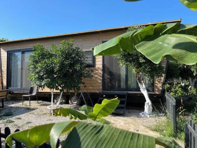 Bodrum Gaia Tiny Houses Butik - 58
