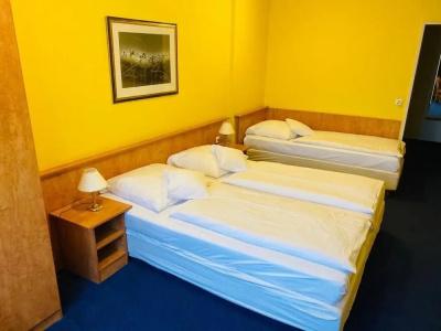 Park-Hotel - 28
