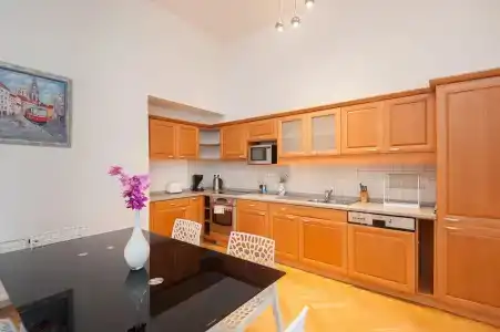 Slovansky Dum Boutique Apartments - 16