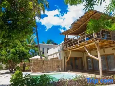 Zanzibar White Sand Luxury Villas & Spa - 313