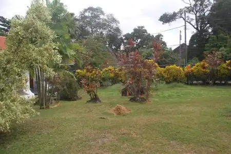 Daniella's Bungalows - 1