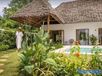 Zanzi Resort Private Paradise - 70