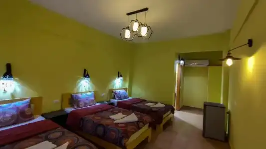 Shams & Dive Centre - 16