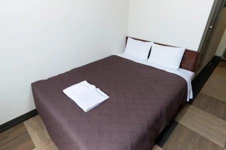 Select Inn Fujisan Gotemba - 73
