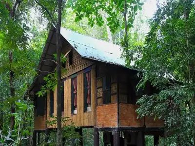 Khao Sok Tree House - 73