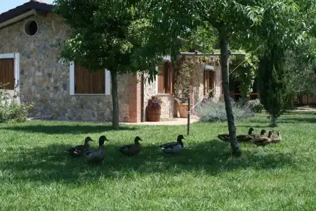 Agriturismo Vivinatura - 17