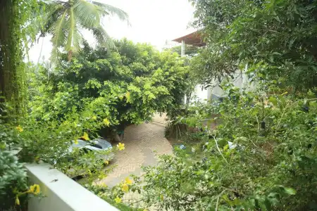 Mount Garden Guest House - 9
