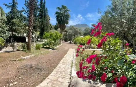 Olympos Angels Garden - 12