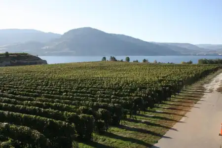 D'Angelo Winery Farm House - 28