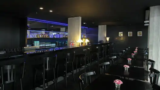 Anselmo Buenos Aires Curio Collection By Hilton - 19