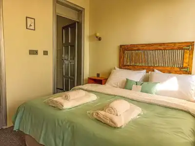 Varyant - 17