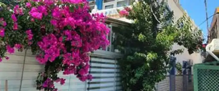 Denizkizi Motel - 7