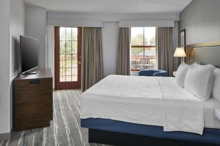 Hampton Inn & Suites Saratoga Springs Downtown - 43