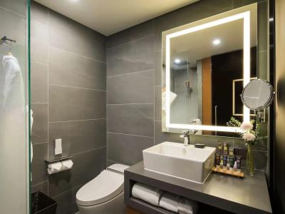 Novotel Ambassador Seoul Dongdaemuns & Residences - 98