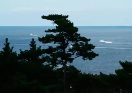 Keipu - 16