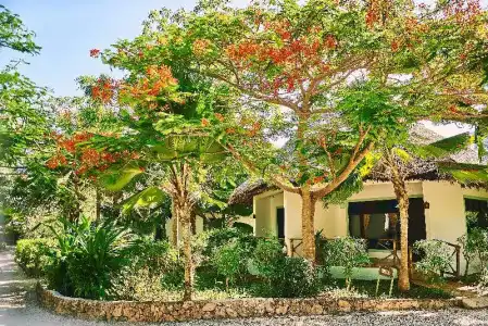 Spice Island & Resort - 29