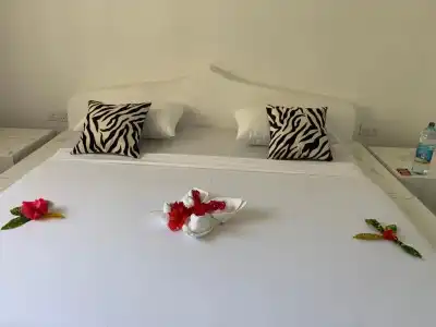 African Paradise Beach - 101