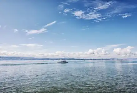 Seevital - 20