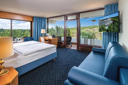 Ahorn Harz Braunlage - 31