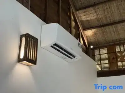 Mango Bay Resort - 313
